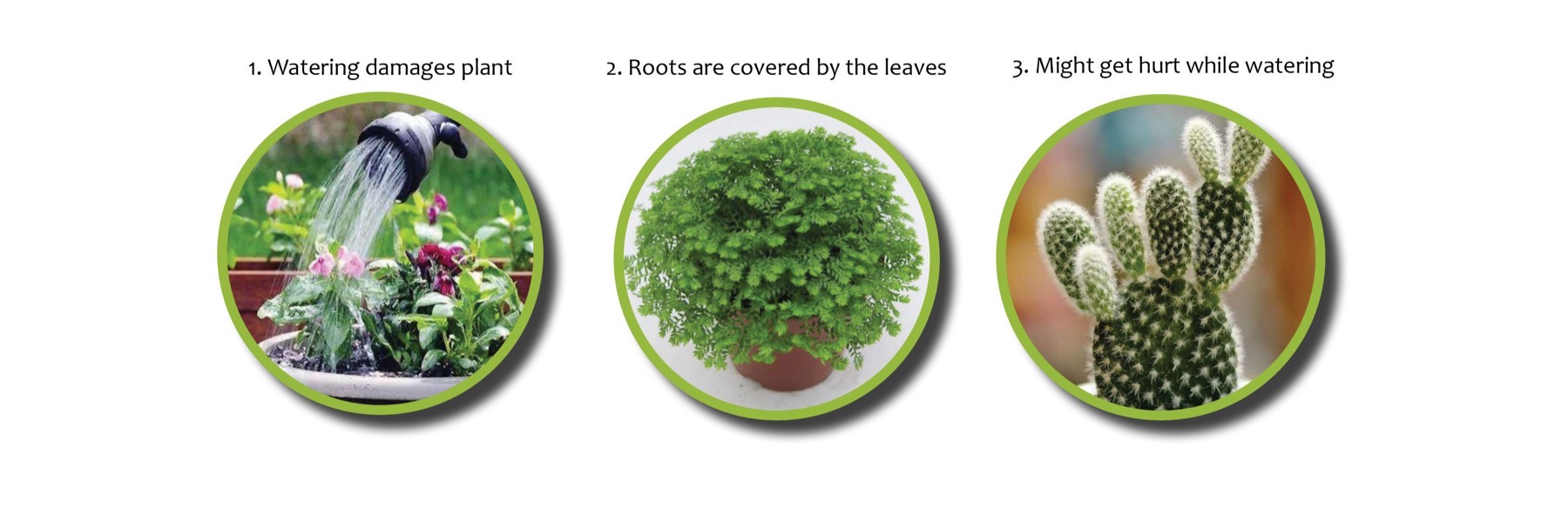 Hydro Planter