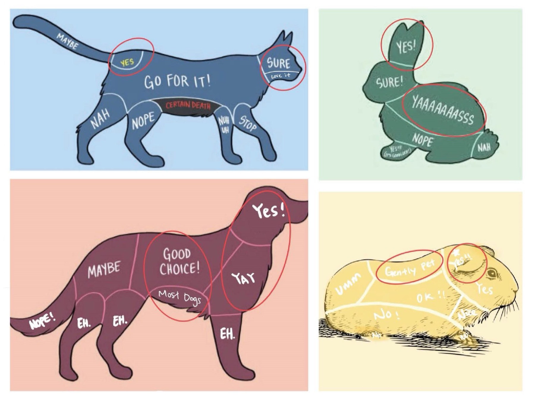 PetPal